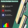 Mars Hydro SP 3000 növénynevelő és -termesztő LED lámpa (300W)