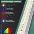 Mars Hydro SP 6500 növénynevelő és -termesztő LED lámpa (650W)
