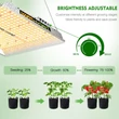 Mars Hydro TS 1000 növénynevelő és -termesztő LED lámpa (150W)