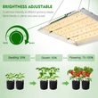 Mars Hydro TSW 2000 növénynevelő és -termesztő LED lámpa (300W)