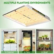Mars Hydro TSW 2000 növénynevelő és -termesztő LED lámpa (300W)