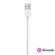 Apple Lightning - USB kábel 1m #02