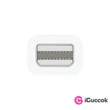 Apple Thunderbolt » FireWire átalakító #01