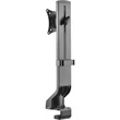 Stell SOS 1910 13"-32" VESA 100x100 Single asztali monitor tartó konzol #04