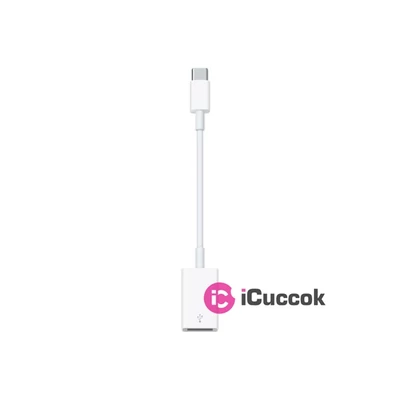 Apple USB-C » USB adapter