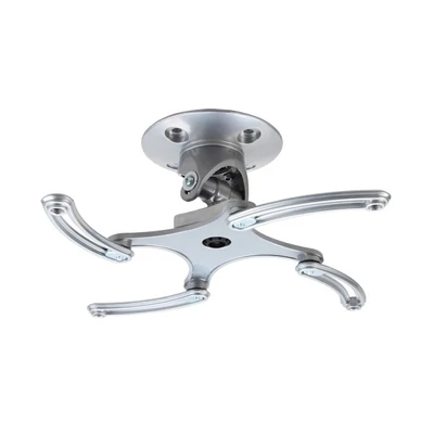 Avtek ProMount Direct mennyezeti projektortartó