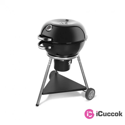 Fieldmann FZG 1013 faszenes kerti grill