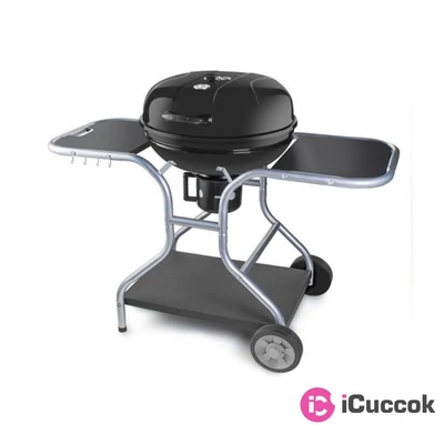 Fieldmann FZG 1014 faszenes kerti grill