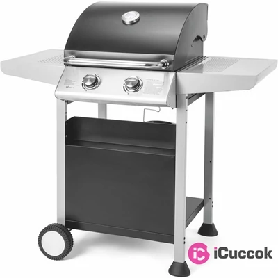 Fieldmann FZG 3102 2 égőfejes gázos grilll