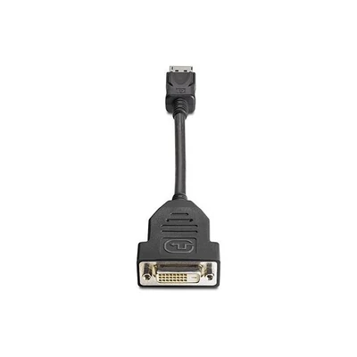 HP 19cm DisplayPort - DVI-D adapter
