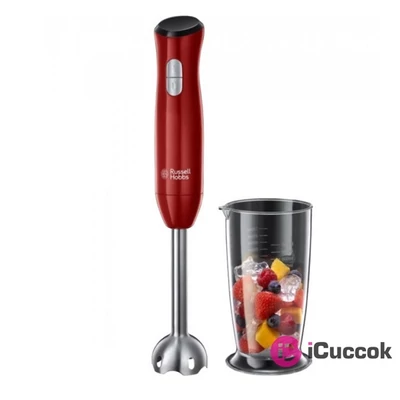 Russell Hobbs 24690-56 Desire botmixer